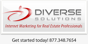 Diverse Solutions Logo